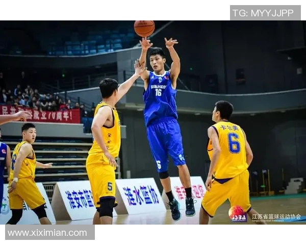 武汉篮球队在总决赛中的灵活性表现与战术调整分析