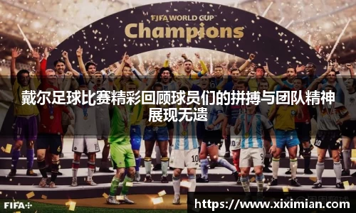 乐动LDSports综合体育