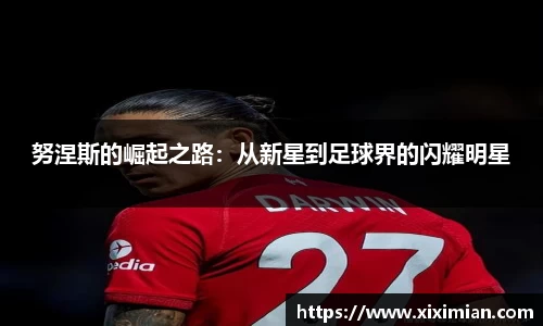 努涅斯的崛起之路：从新星到足球界的闪耀明星
