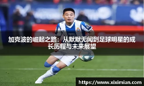 乐动LDSports官网