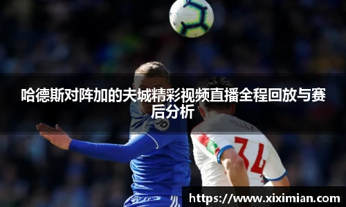 哈德斯对阵加的夫城精彩视频直播全程回放与赛后分析