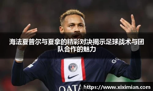 乐动LDSports官网